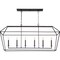 Quoizel Aviary Linear Chandelier AVY654PN - alternate 8
